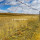 亜鉛メッキ農場と野原フェンスのホットディップ